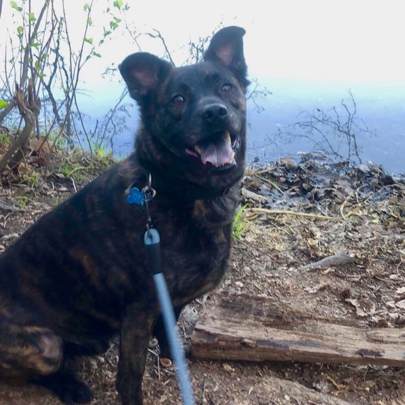 Meet your Posher, Jordan - Picture 2 of 2